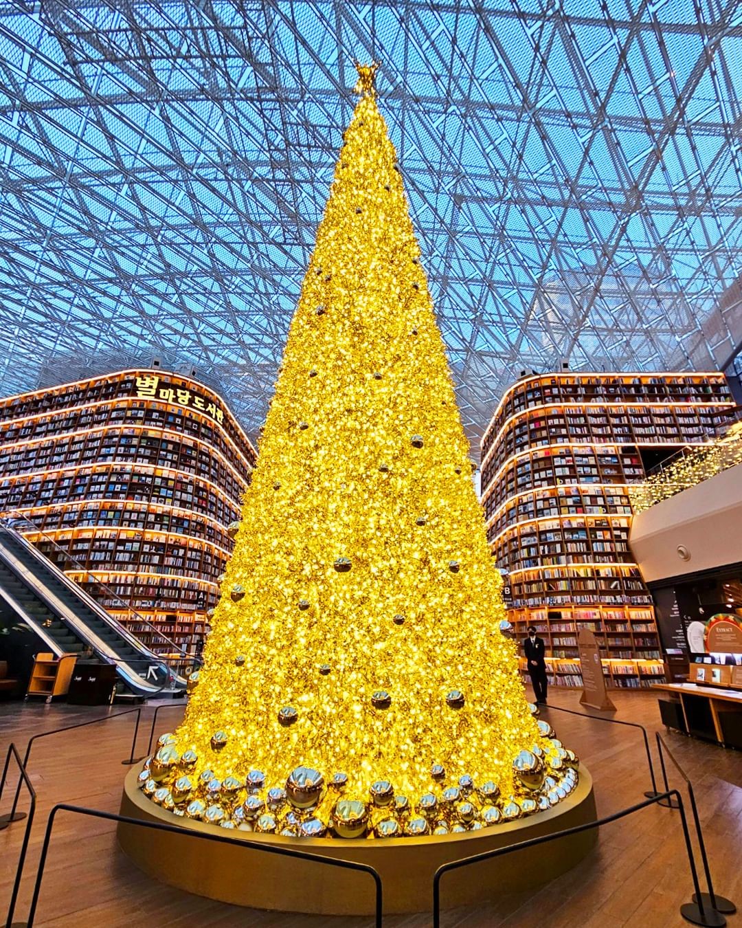 韓国イルミネーション2024いつから？おすすめイベント - 旅行ノート