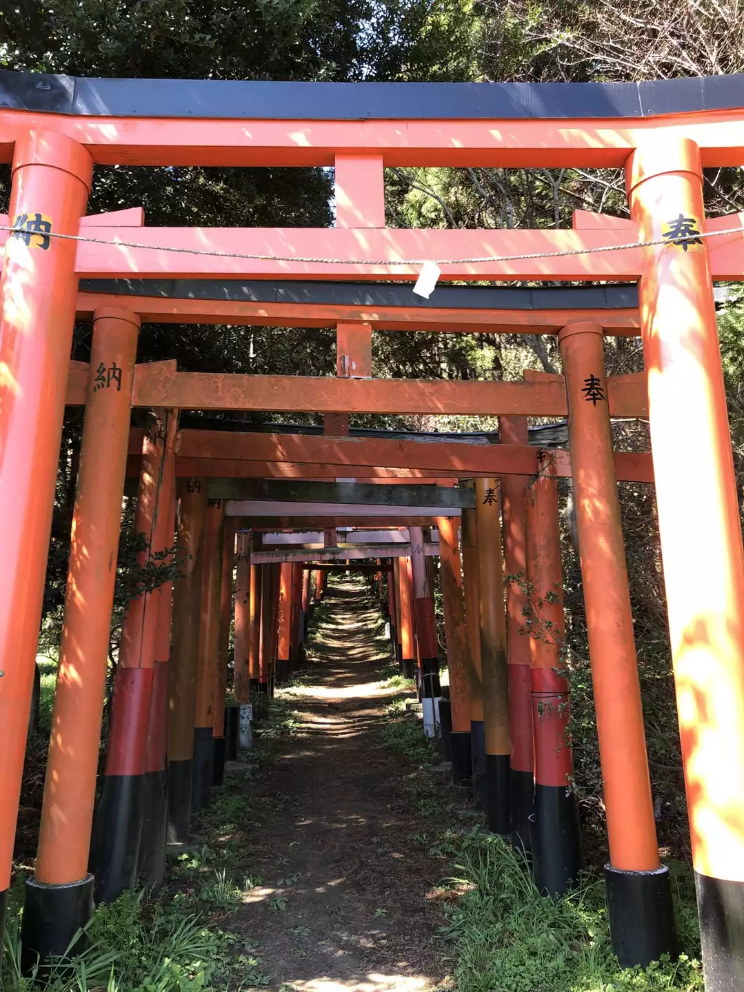 稲荷大神の恩頼 みたまのふゆあなたの努力に神様のひと押し
