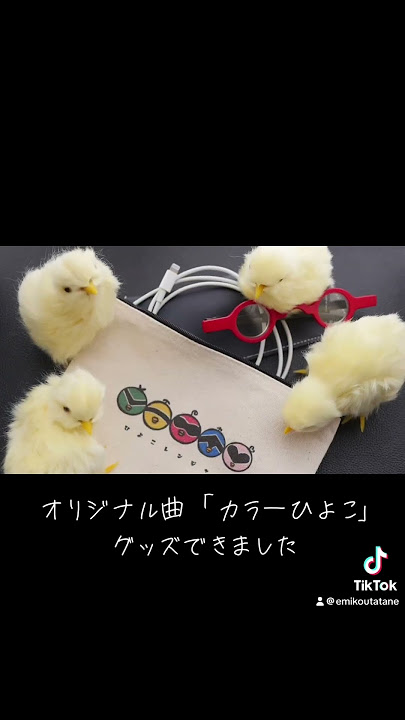 おまつり一家の奮闘日記！！:ピンクのひよこ♪