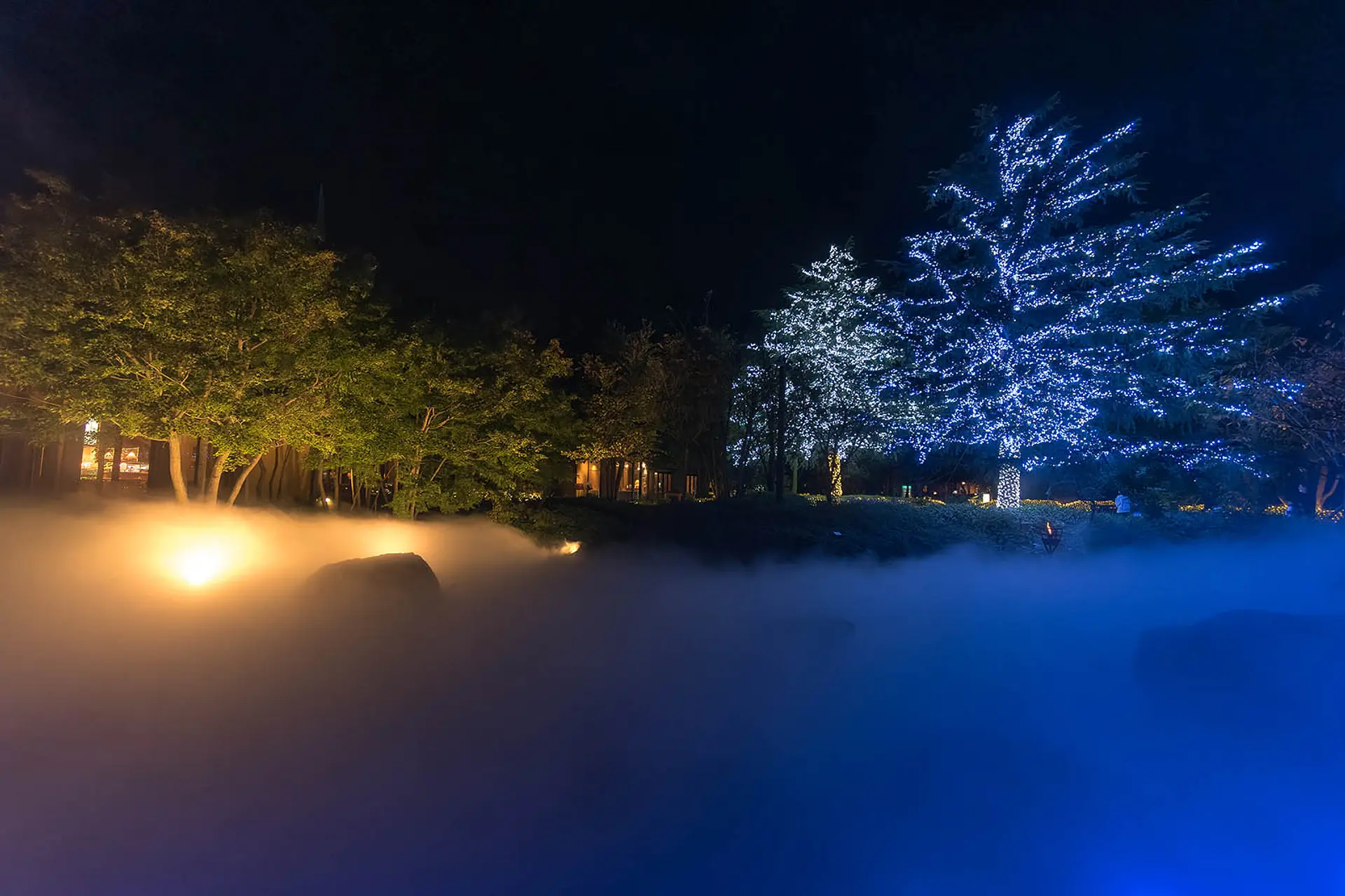 紅葉とイルミネーション~『なばなの里』今年は宝船で縁起が良いよ』桑名・長島 三重県 の旅行記・ブログ by tya−tyaさん フォートラベル