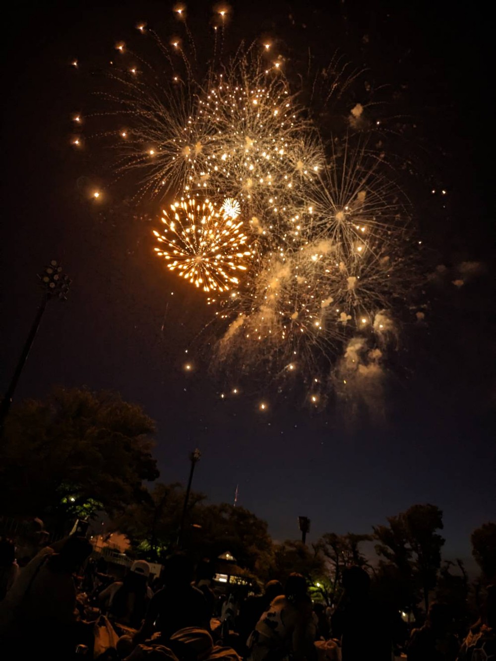 八王子花火大会」スターマインや仕掛け花火など東京・八王子の夜空を彩る約3,500発 - ファッションプレス
