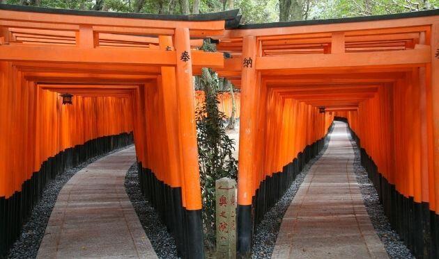 京都で見つけた珍しい鳥居4選！不思議な鳥居たちを紹介します！！ - 素晴らしき日本の景色たち