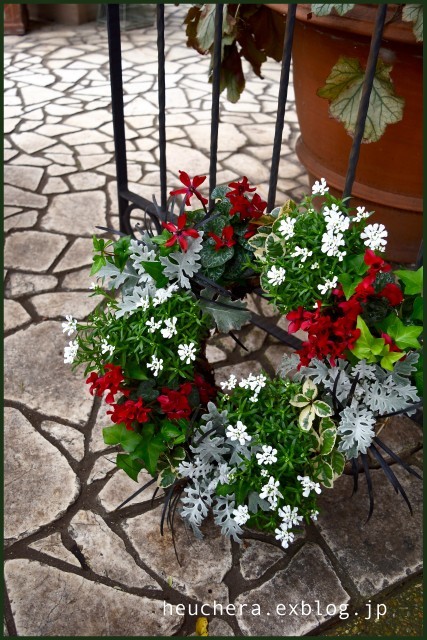 クリスマスを彩る寄せ植えの作り方初心者でもすぐにできる方法や管理のポイントを紹介コーナンTips