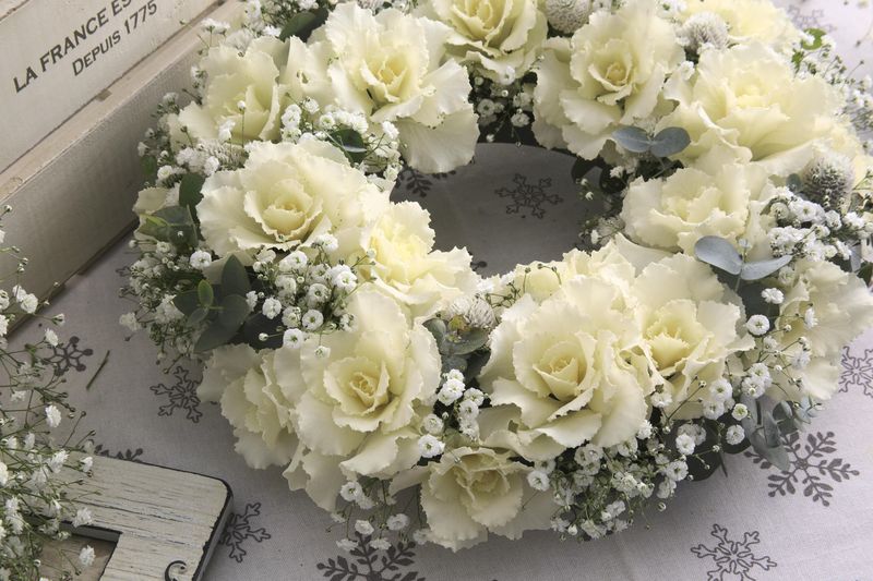 クリスマスもお正月も 葉牡丹×アリッサムの寄せ植えリースを作りました！LEE