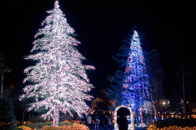 なばなの里イルミネーション2022-2023を徹底紹介！時間や料金、アクセス情報も 三重県2- じゃらんnet