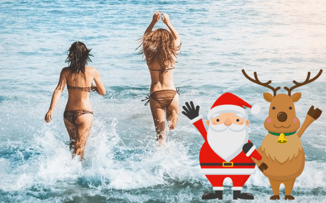 憧れmas!サンタのサーフィン&海デザインのクリスマスツリーWAVAL サーフィンと自然を愛する人のサーフメディア