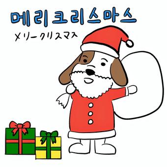 韓国語で「クリスマスツリー」は何という？韓国語を学ぼう♪