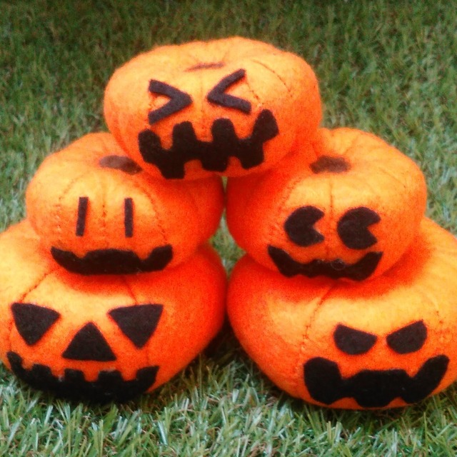 ハロウィンかぼちゃ販売 Lサイズランタンがすぐに作れる付属品付き最北の海鮮市場