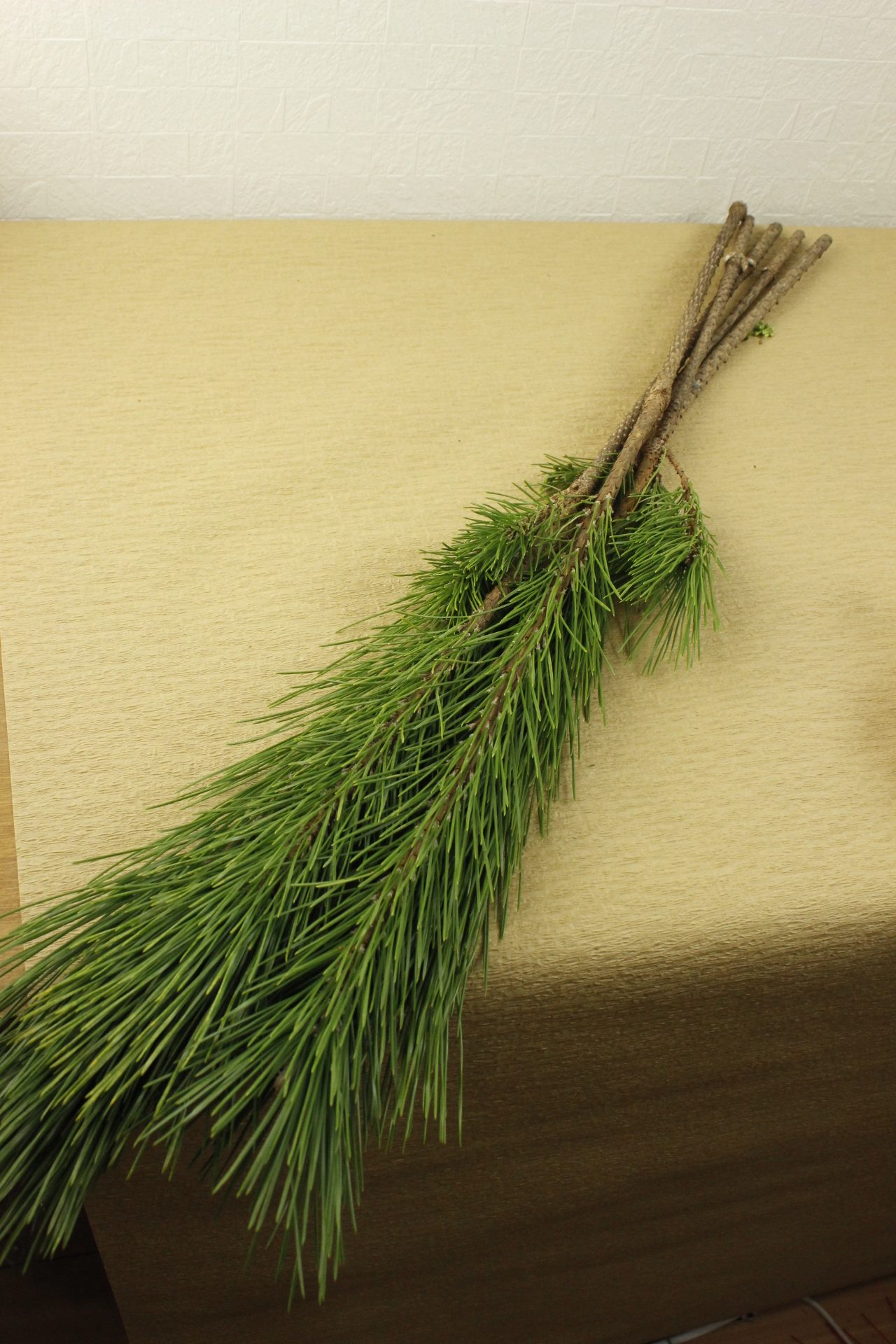 次の土日にとりいれたい理想の生活週末野心のNEXTWEEKEND