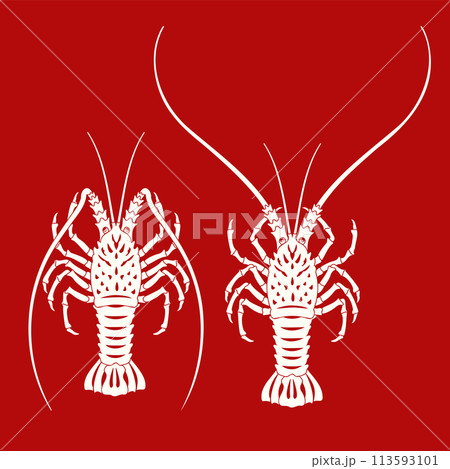 百寿はそんなに目出度いことか 最期を自宅で迎えるために 佐々木 学241023mt の通販 by つなぐ書店ラクマ店ラクマ