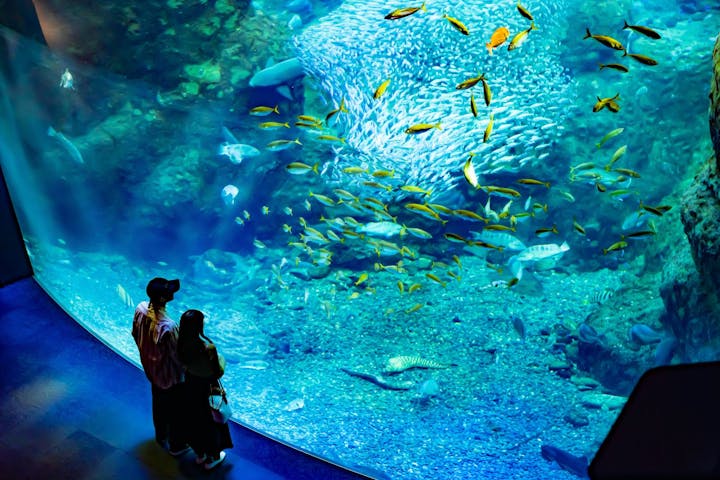 手作り夏祭り ゲームTikTok