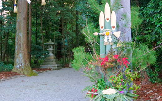 門松に飾られる植物分かります？ 2016.12.28