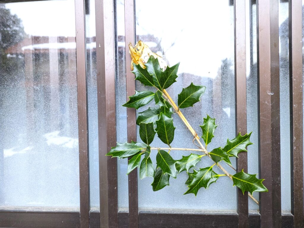 季節の指標 雑節 「節分」のしつらえ「柊鰯 ひいらぎいわし 」季節の手仕事、明日何する