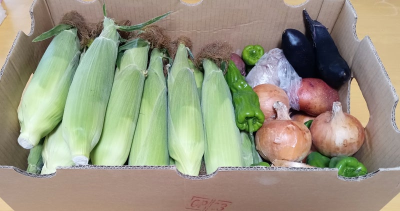 夏といえば何？連想するもの66選大阪・和歌山のおでかけ情報otent おてんと