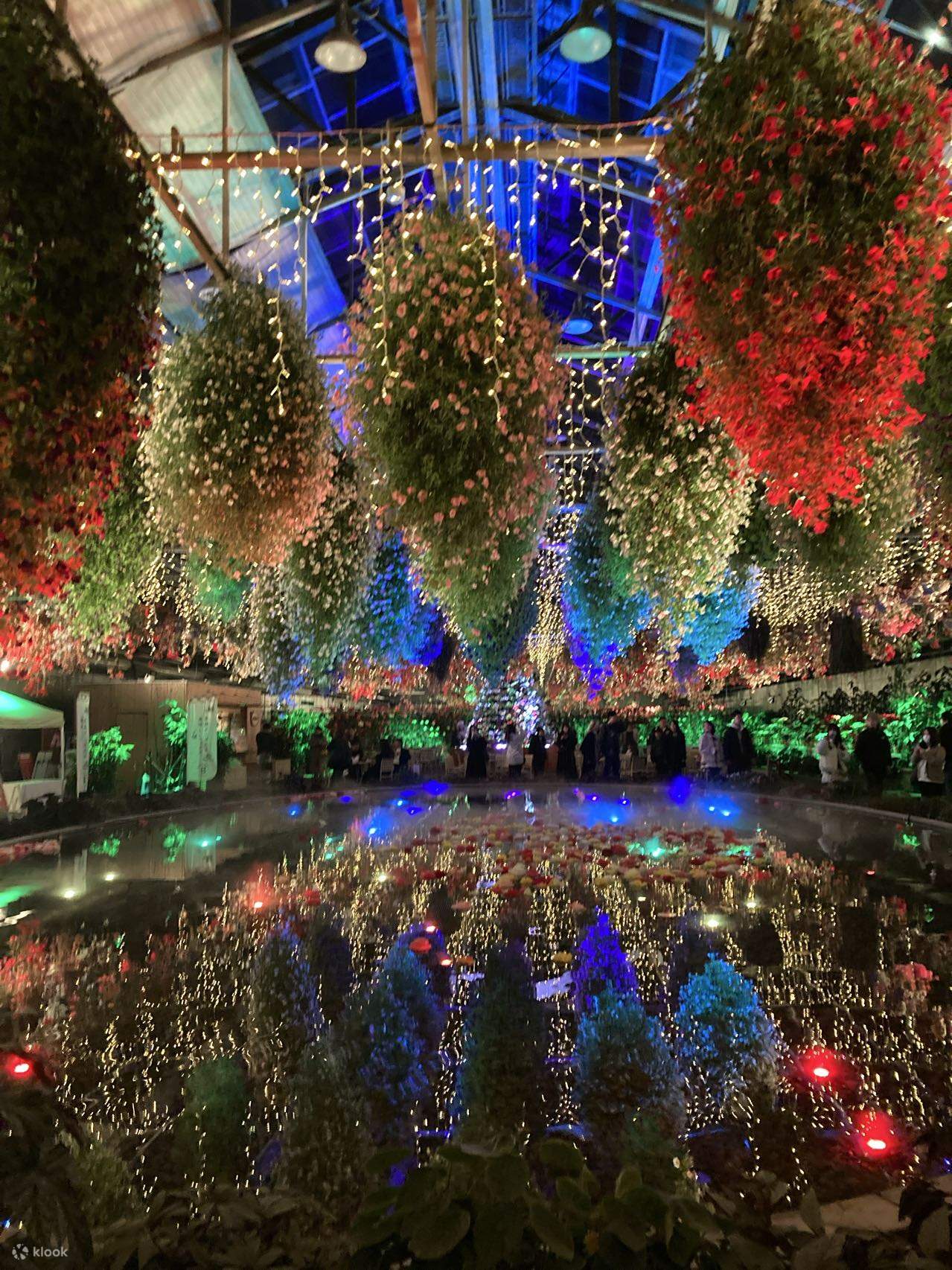 なばなの里のクリスマスイルミネーション2025 年のリアルなLemon8ユーザー体験