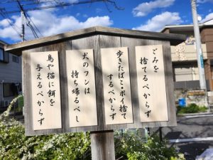 いろんな桜の花を埼玉で愛でる わがやのお花見ご当地＆おでかけネタオレンジページnet