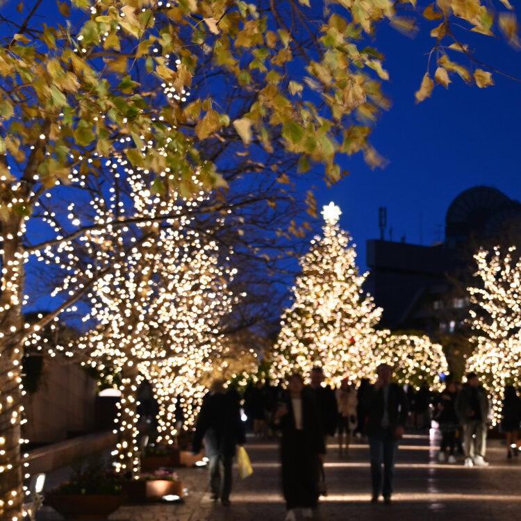 トレンド情報 恵比寿ガーデンプレイスのクリスマスsot ソット 公式サイトオンラインストア