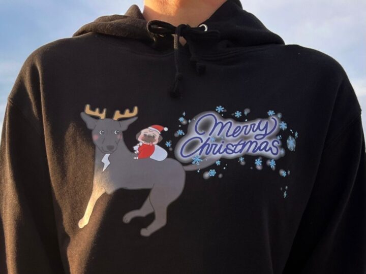 坂上忍 愛犬サンタ１月に死去 首噛まれ「血タラタラ」タートルで隠し「バイキング」出演していたとも明かす 芸能 デイリースポーツ online