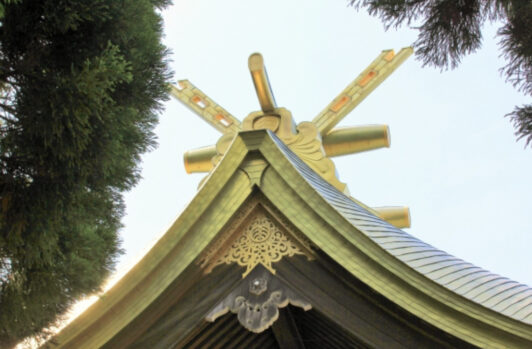 一般初公開！国内最大級の出雲大社「大しめ縄」制作現場レポートしまね観光ナビ島根県公式観光情報サイト