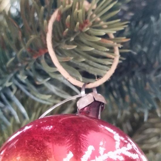 松村ナーセリーさんのクリスマスローズ：24-20月白 げっぱく 3号ポット の通販園芸ネット