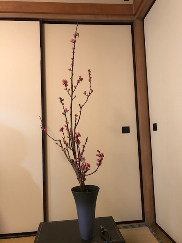 桃の節句」表千家茶道教室・池坊いけばな教室の蓮心