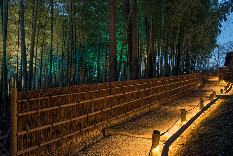 有料になった偕楽園って、再入場できるんですか？_200205いばらきだいすき セカンドシーズン