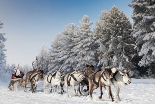 まほうのよるに はじめてサンタのそりをひいたトナカイのおはなしマット・タバレス,前沢 明枝絵本ナビ：レビュー・通販