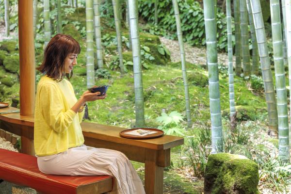 鎌倉地元民がお勧めする鉄板1日鎌倉観光コース 報国寺大仏-長谷寺から定番グルメまで！鎌倉観光ならバズトリ -BUZZ TRIPKamakura-観光・グルメ・自然