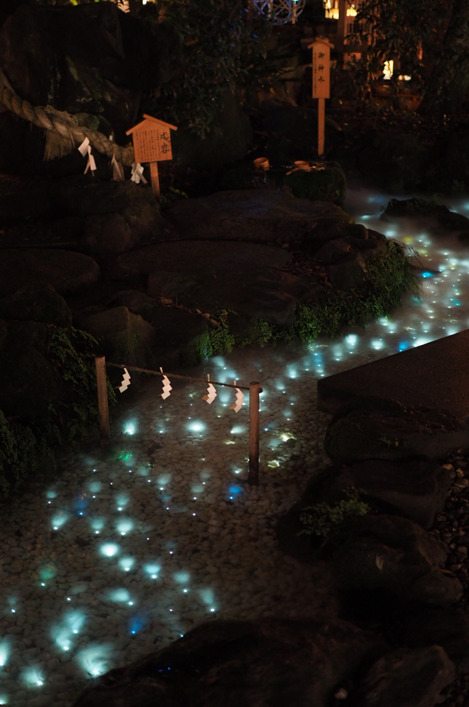 川越氷川神社の良縁祈願祭に行って参りました 飼い主日記- チュラと日々の生活のこと