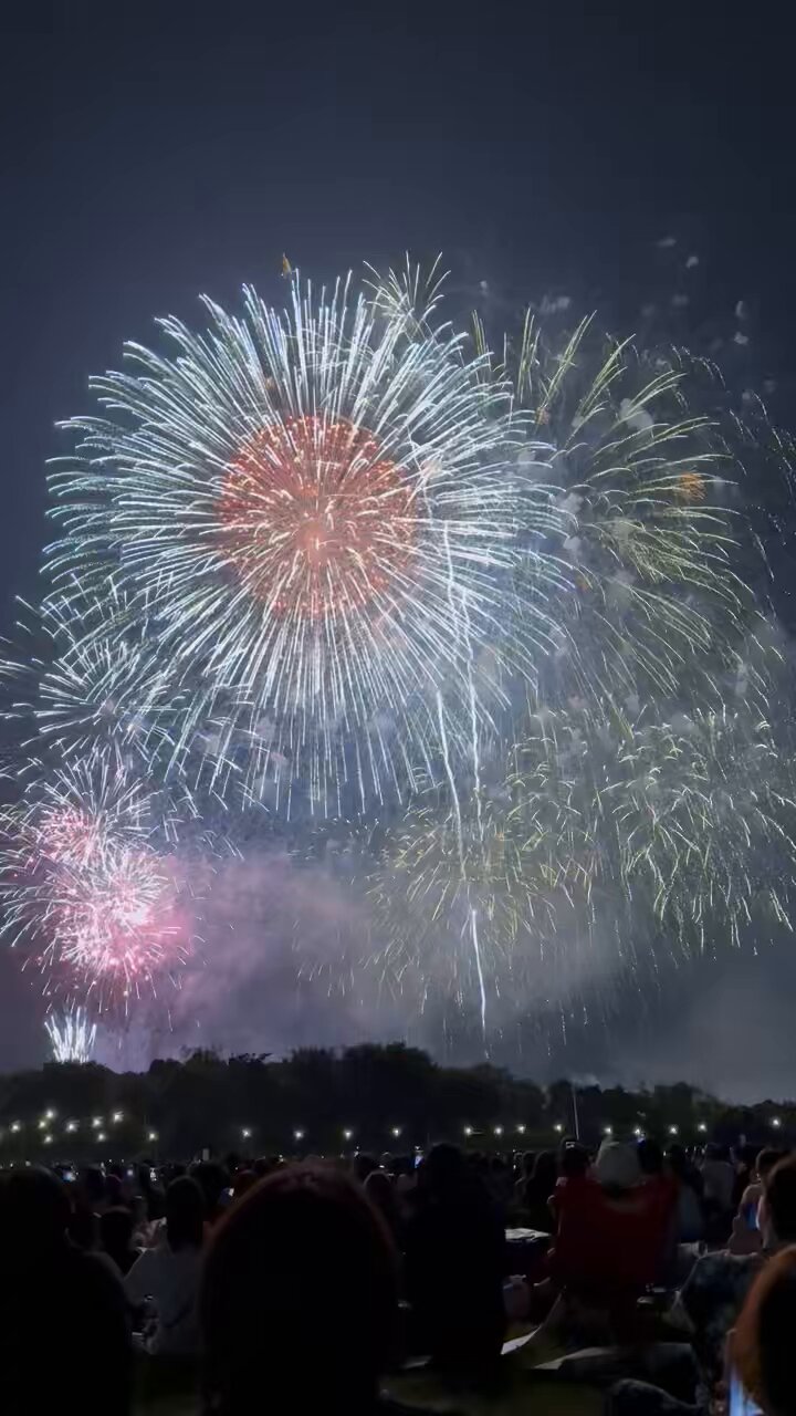 白井市第一公園お祭り2025年8月TikTok
