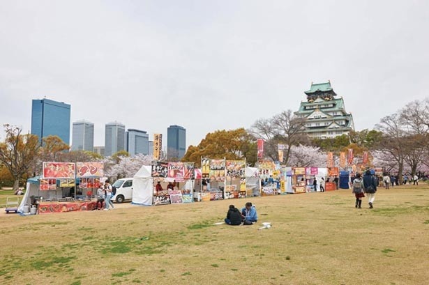 大阪城公園の桜まつり2025屋台は何時まで？出店場所とアクセス・バーベキュー予約方法も！ゆかの雑記帳