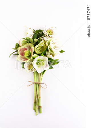 クリスマスローズのアレンジメント◇ニュアンスカラー:アーティフィシャルフラワー - 造花・加工花アレンジメント専門通販サイトA.COCCA