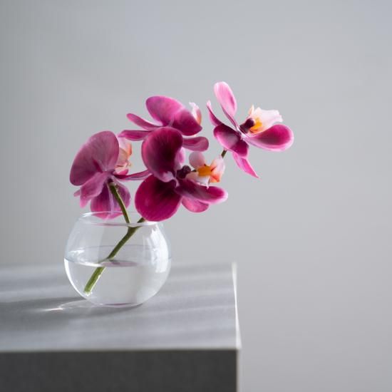 ひな祭りに♪桃の花＆春色フラワー！飾り方アイデア♡週末に飾りたい花！花 のある暮らしのレシピ集♪フランススタイルのフラワー教室ビアンカキャンディ～辻堂・藤沢・茅ヶ崎～