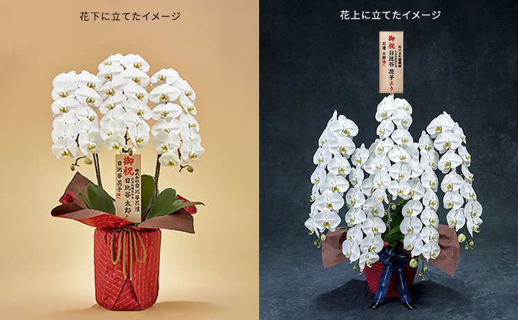 社長就任祝いの間違いのない立て札の書き方をご存知ですか