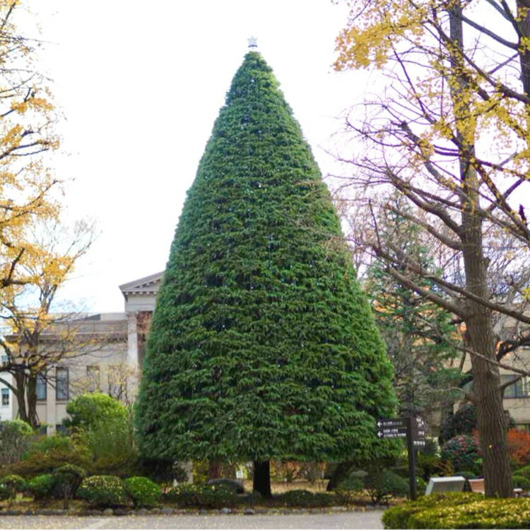 青広会青山キャンパス点火祭