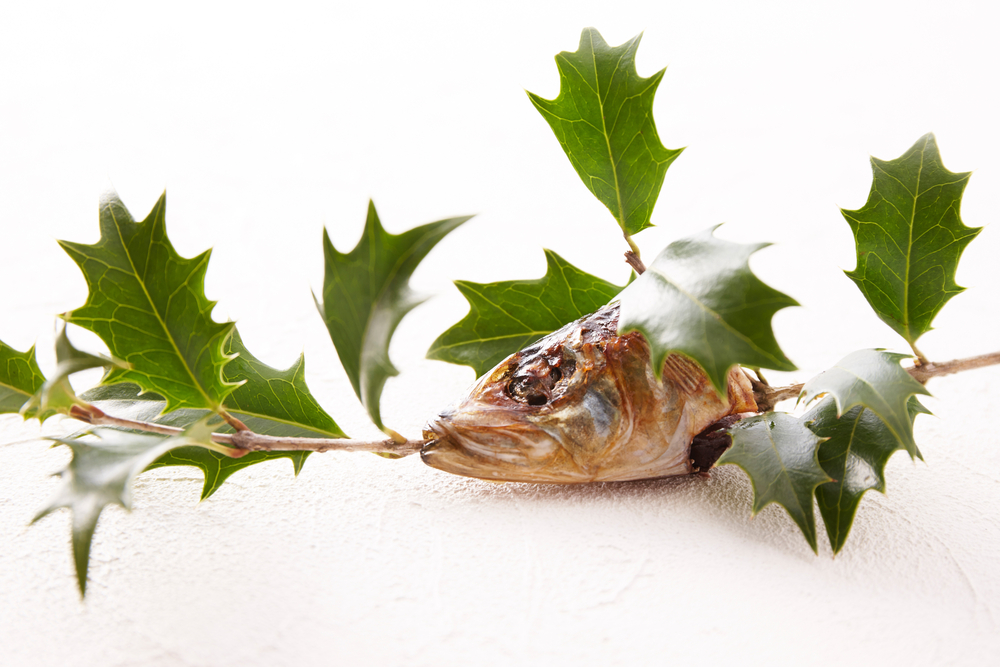 おいしい天狗印枝豆、天狗印厳選米「コシヒカリ100」を販売しています。天狗印枝豆節分用「柊セット」