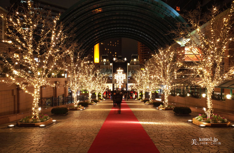 ゴージャスなイルミネーション in 東京♡恵比寿ガーデンプレイスaumo アウモ