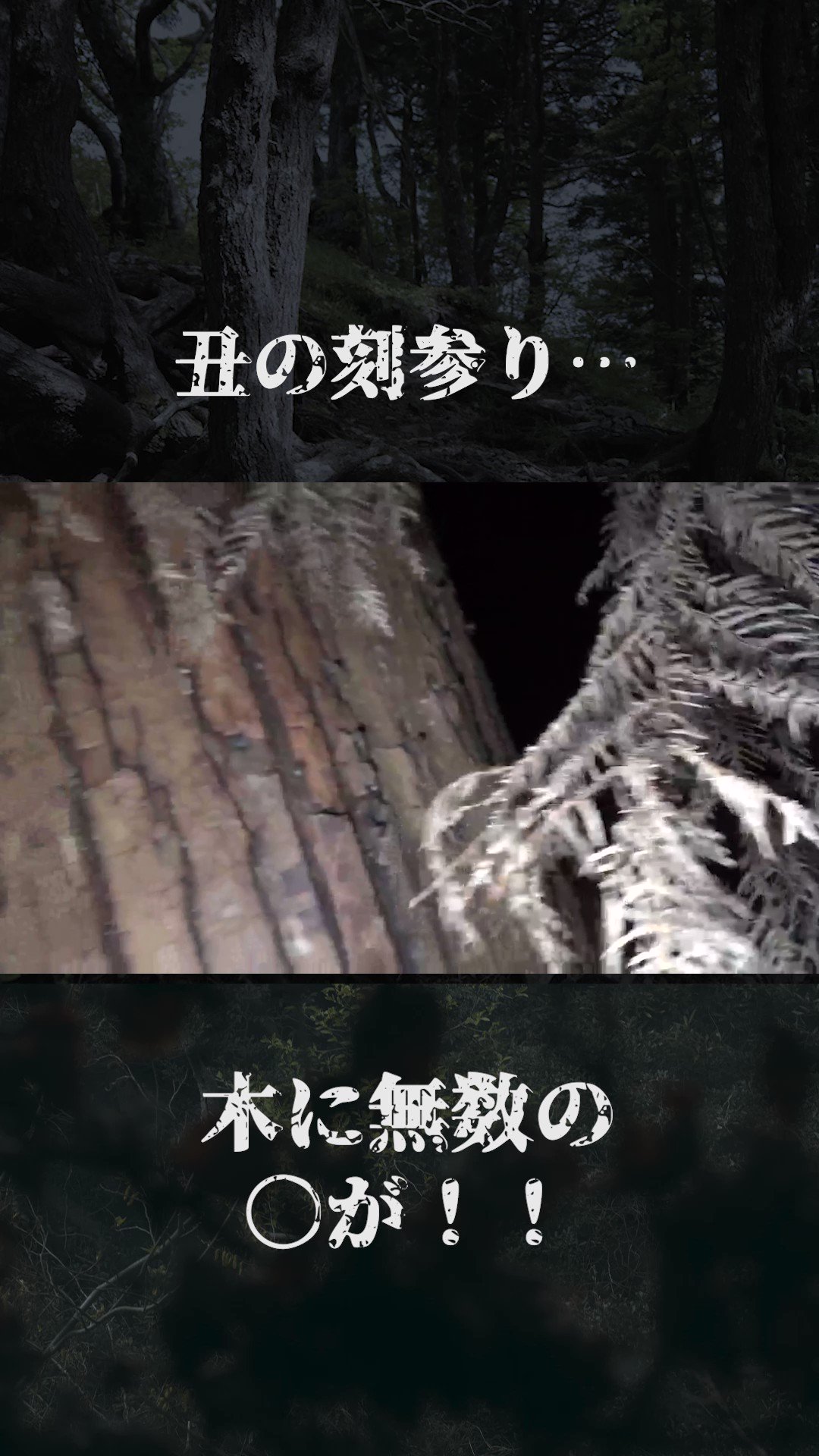 呪いの藁人形・丑の刻参りの起源 京都・貴船神社奥宮に迫る！ 御朱印歴史の扉