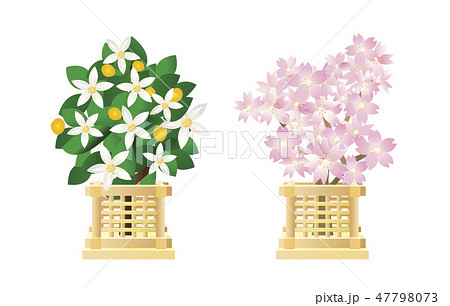 楽天市場 雛人形 桜橘の通販