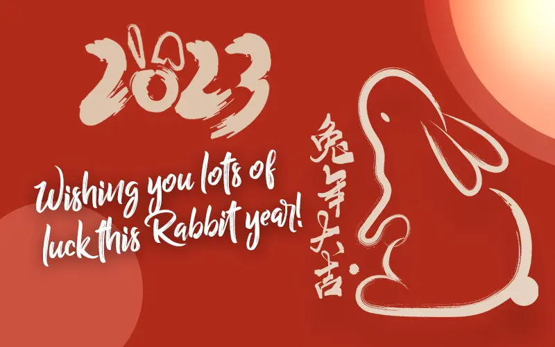 新年を祝う龍年の縁起の良い言葉赤い封筒バッグ 収納バッグ 通帳バッグは無料です - ショップ Starforest ご祝儀袋・ポチ袋 - Pinkoi