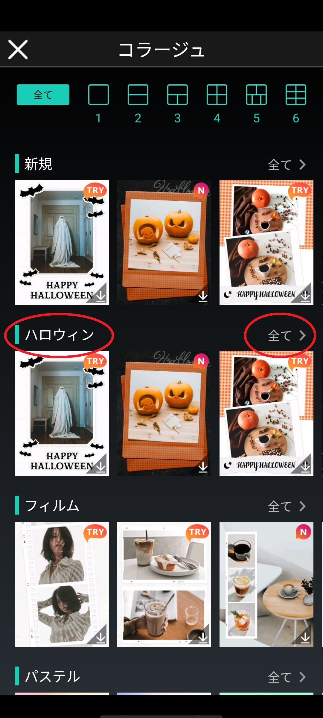 Trick or Treat🍭新作ハロウィンスタンプ紹介🎃linecameralineカメララインカメラスタンプ加工加工アプリ加工の仕方秋ハロウィンハロウィン仮装ハロウィンHalloweenhalloweenvibesHalloween2024ステッカーストーリー加工ストーリ