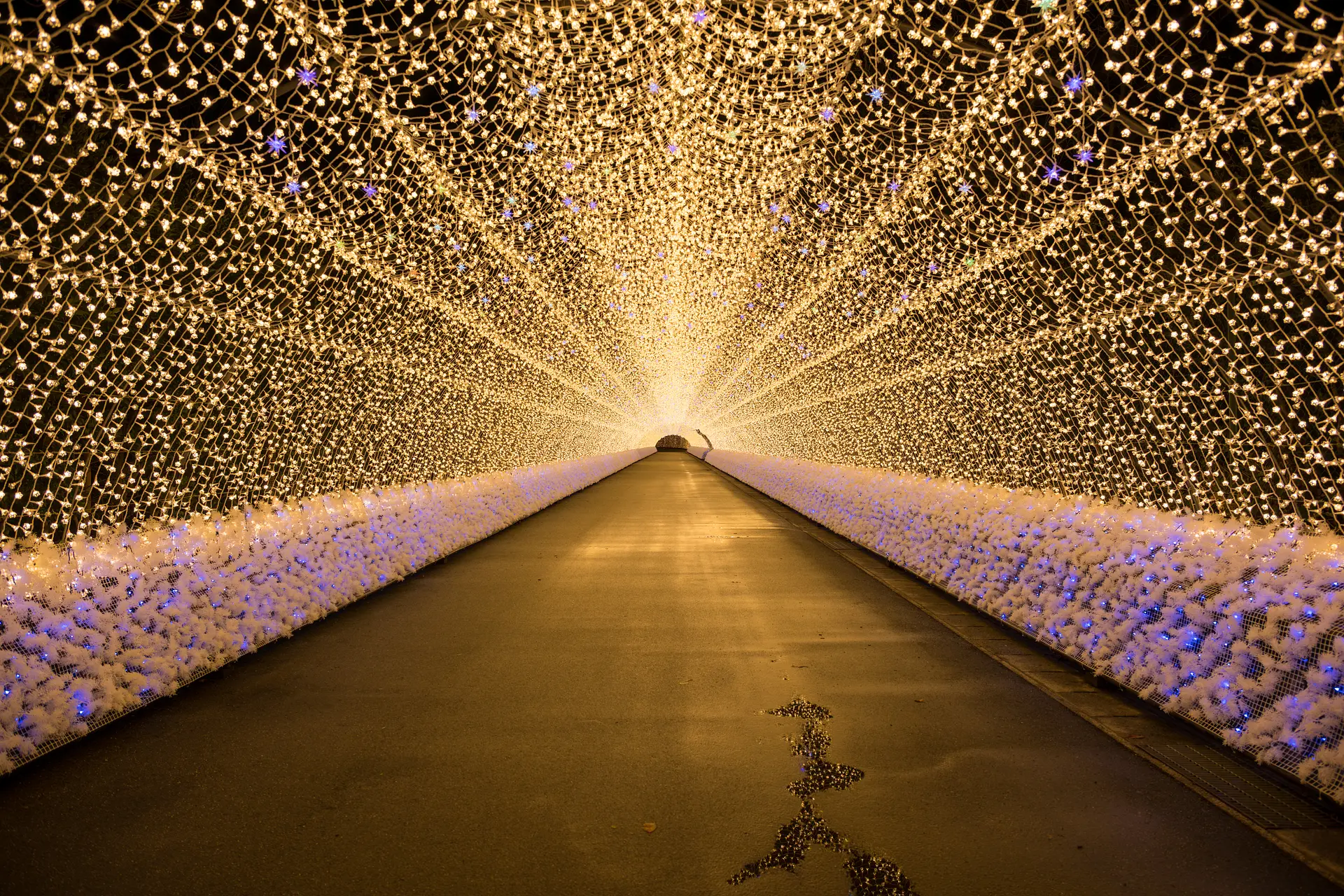 なばなの里の混雑状況リアルタイムで今日がわかる方法や混雑予想カレンダー2025！混雑回避ポイントも徹底解説
