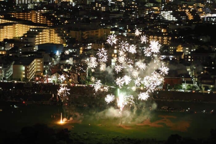 二子玉川の花火大会を楽しむ方法2025 年のリアルなLemon8ユーザー体験