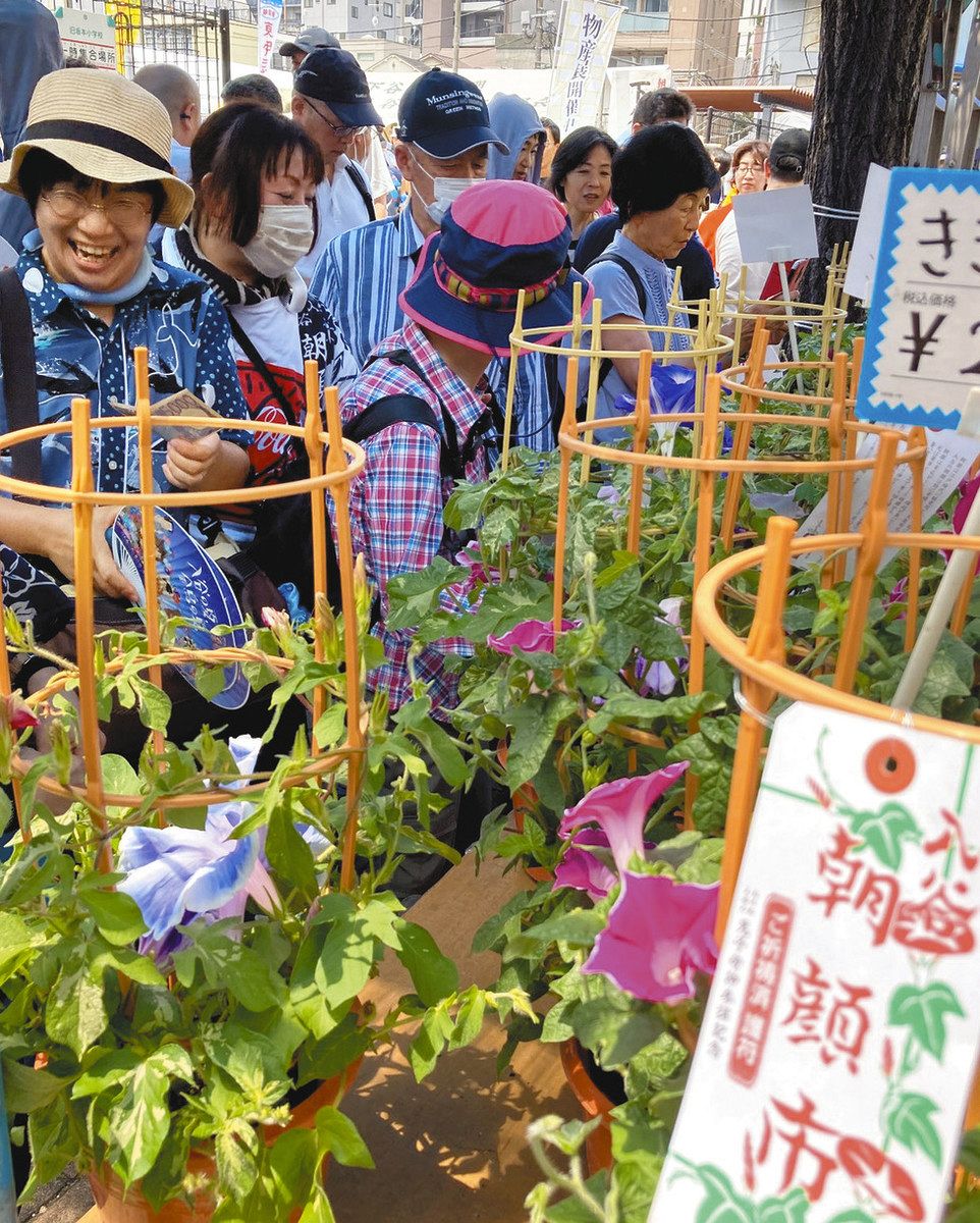 タイトル「朝顔祭り」 半紙に絵の具を染み込ませて 朝顔の花を作りました。 3病棟に飾ってます♪ ＃作業療法 ＃夏祭り ＃朝顔 ＃青梅市