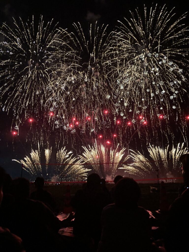 鹿児島の夜空を彩る「桜島と芸術花火2024」が今日開催！音楽と花火が競演夜景FANマガジン