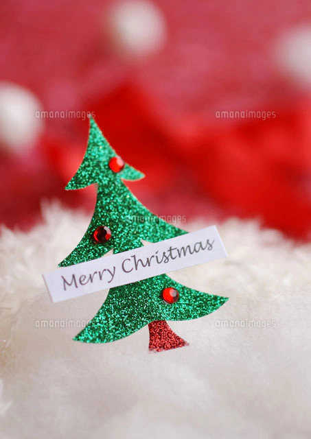 クラフトカメリアクリスマス グリーン