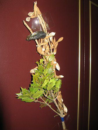 節分におすすめの花と花言葉飾る場所や飾り方とコツ観葉植物・お花の通販 AND PLANTSアンドプランツ