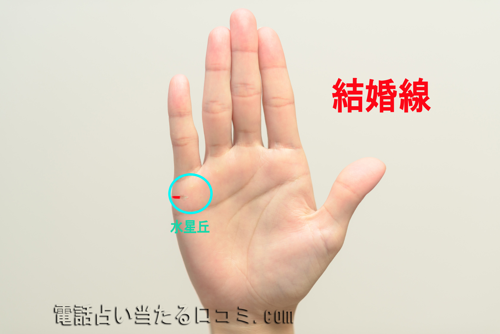 手相占い 右手の運命線が短い人は短期決戦型？ その意味と見方を教えますOggi.jp