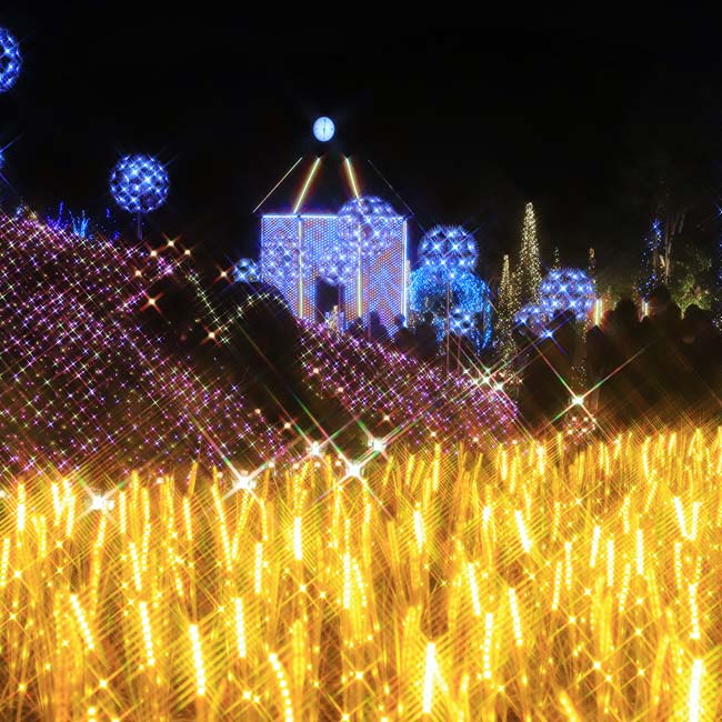 Evolutionary Lights！ 関西最大級のイルミネーション「ローザンイルミ～ひかり奏でる丘～」第３弾の開催決定！プレスルームローザンベリー多和田