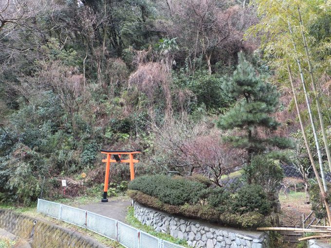白赤稲荷神社 神奈川県県立大学駅 のアクセス・お参りの情報 ホトカミ